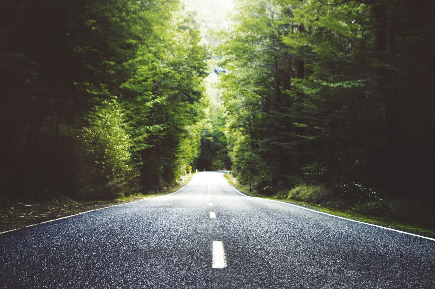 Eine lange Straße mit Bäumen am Straßenrand